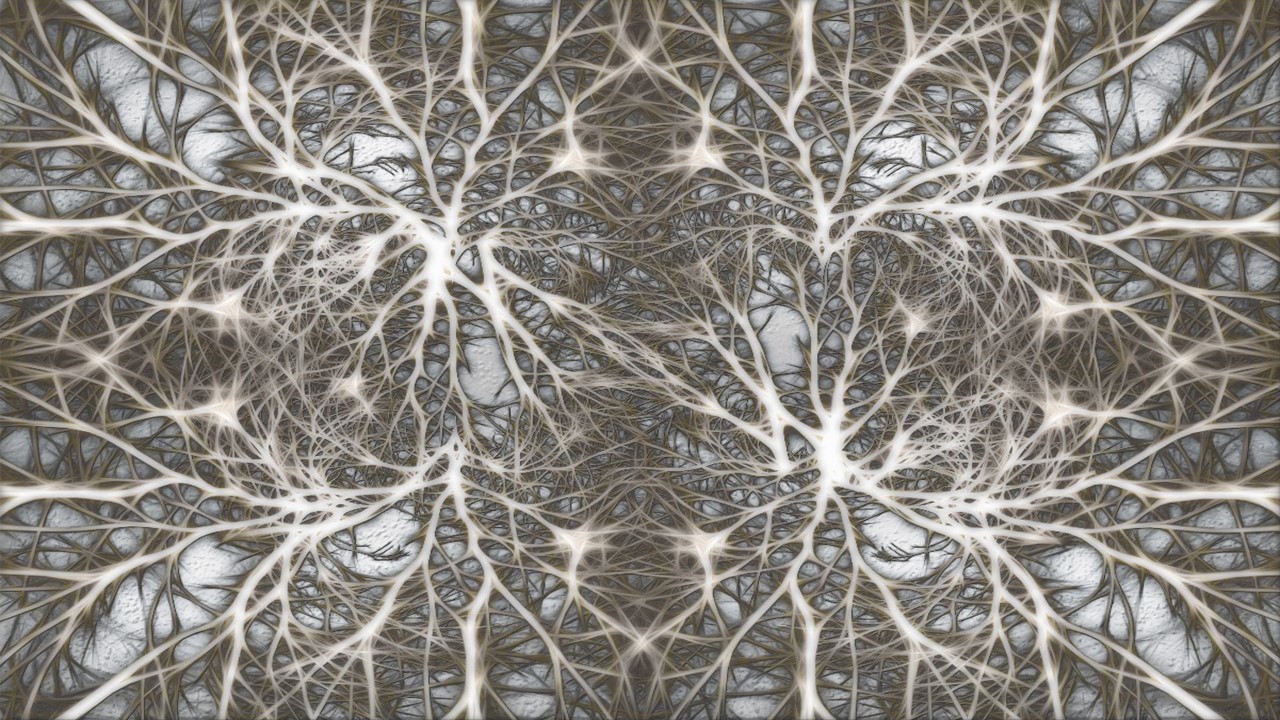 广州老年友好公寓,广州老人友好公寓护理院地址