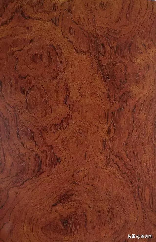 装饰材料木皮有哪些,装饰木皮有哪几种