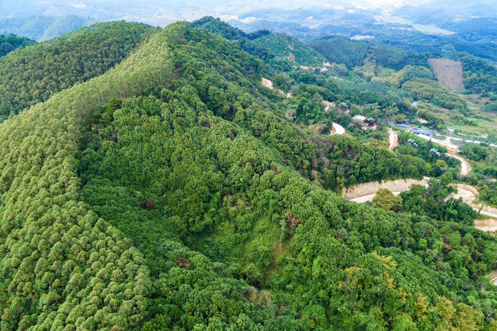 藏在山谷里温泉民宿,清远树屋温泉度假村攻略
