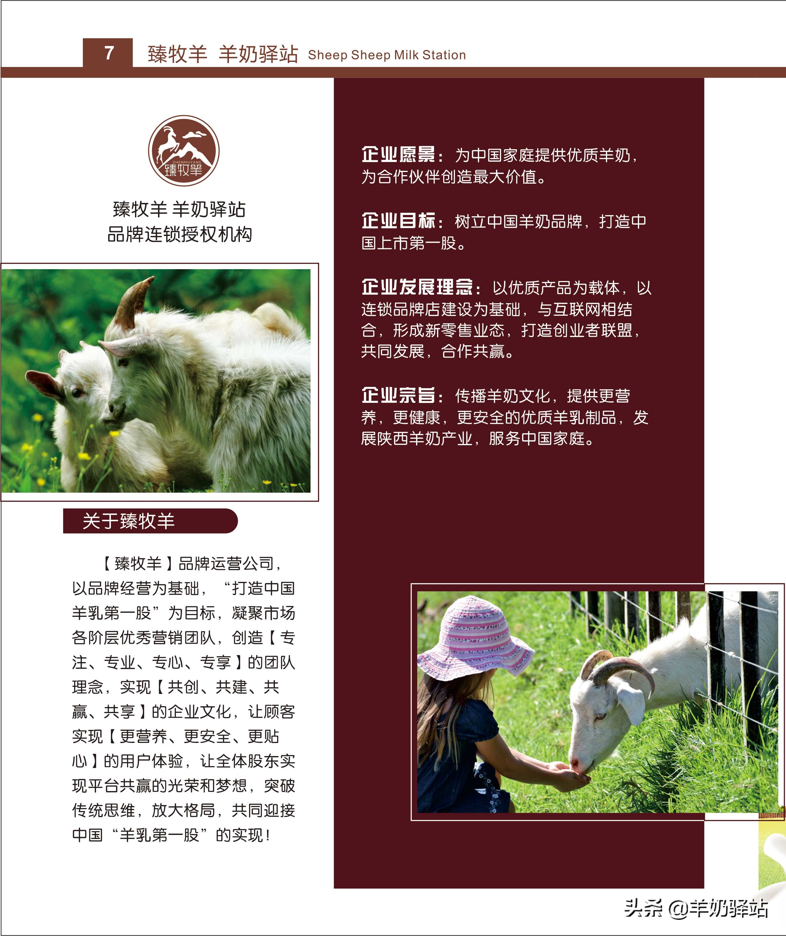 羊奶加盟招商模板,羊奶加盟哪个平台好