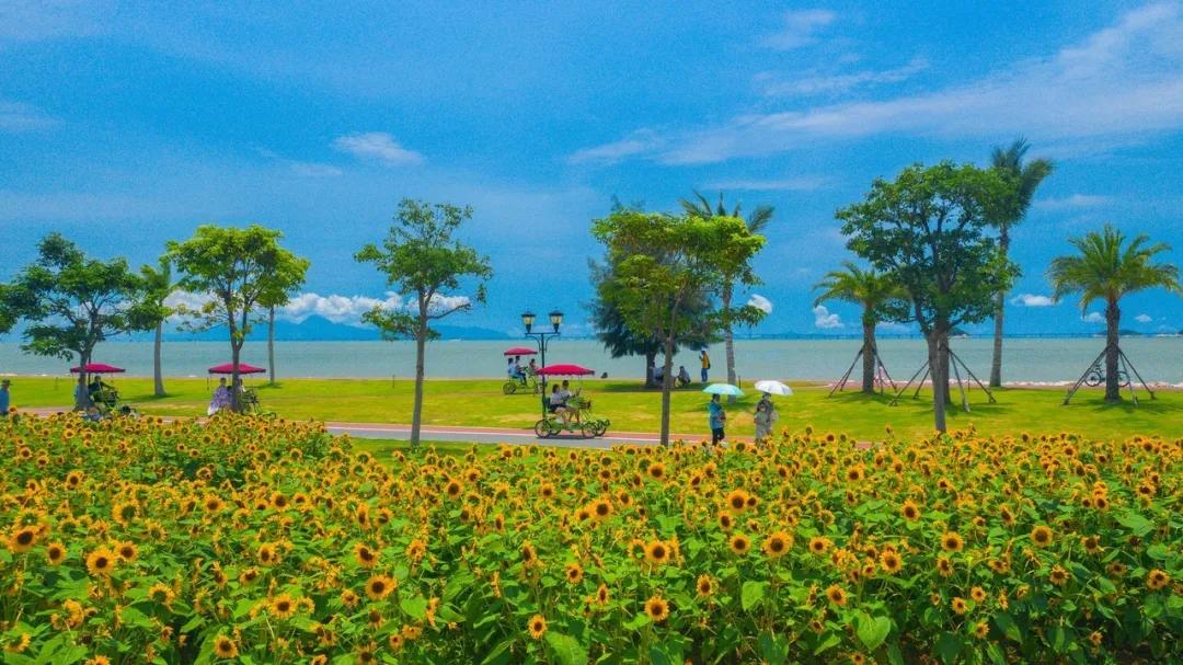 珠海买房过冬真实感受,在珠海买房十大秘诀