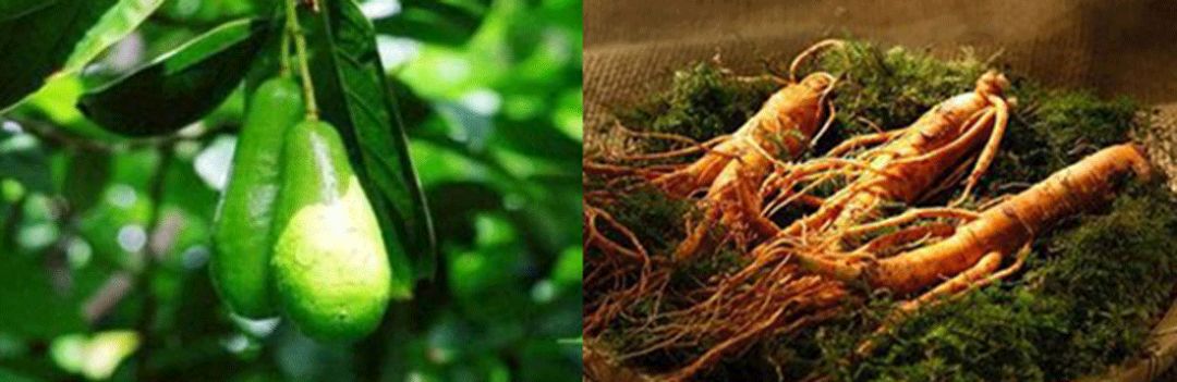 韩国大牌眼霜,吴昕爱马仕眼霜怎么样