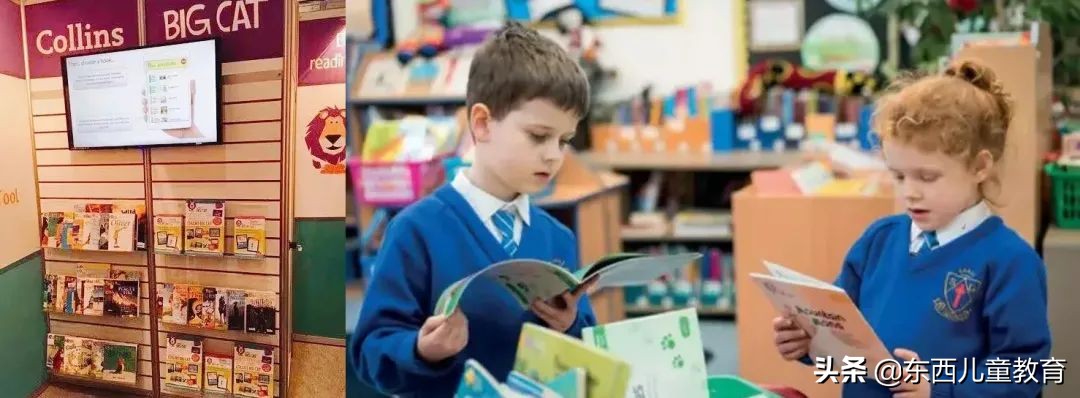 如果2-8岁孩子急需英语启蒙阅读，选分级王者《大猫》绝对没错