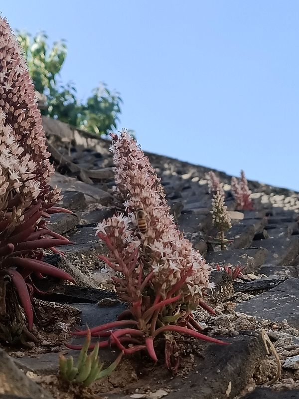 随笔惊艳风景,随笔美好的一瞬间
