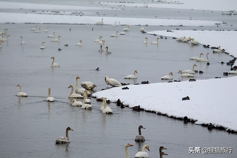 *疆新**玛纳斯县，一个有28万人口的富庶之地，还是重要的碧玉产地