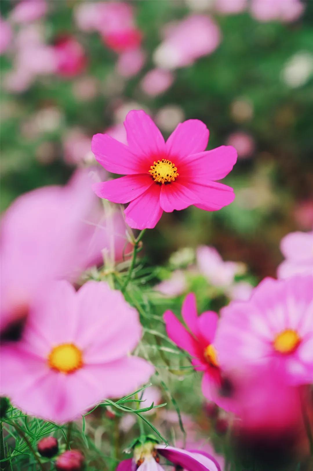 在济南花式避暑,一见“清”心!只需一瞥,便足以把酷夏原谅…