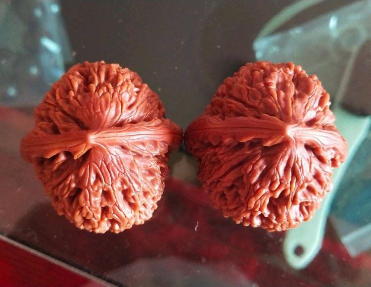 特别尖的核桃是什么品种,修尖又修底的核桃