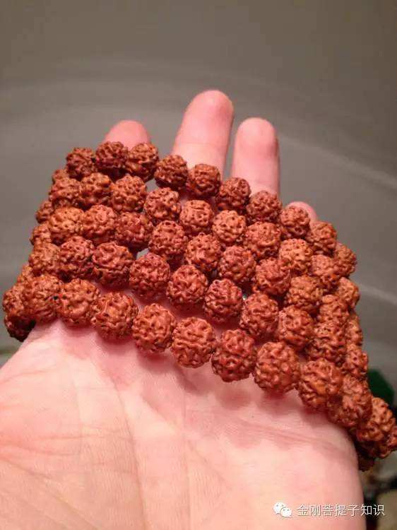 金刚菩提最全纹路解析,大金刚菩提纹路种类图解