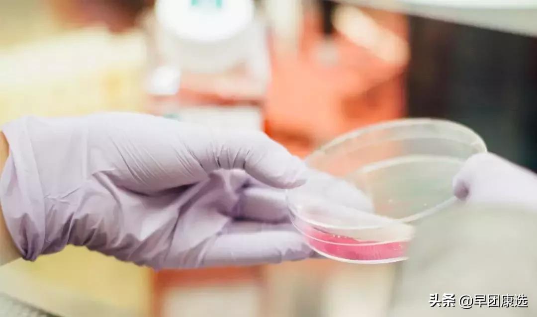 体检查出早期癌是不幸中的万幸么,年年体检为何一查出癌就是晚期