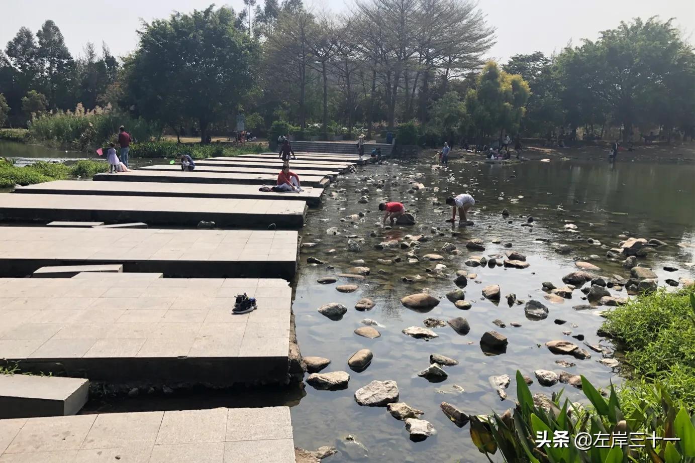 东莞湿地生态修复处理后效果,东莞生态园中央水系