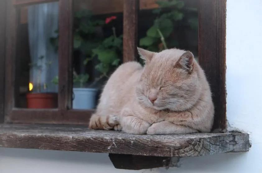 经典故事如何把梳子卖给和尚,梳子卖给和尚故事