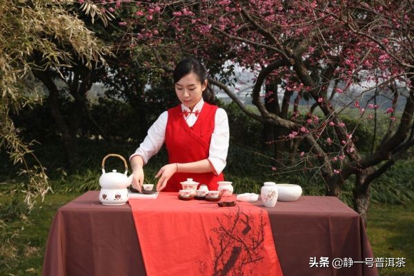 茶文化与茶艺表演男生多吗,茶旅茶艺表演