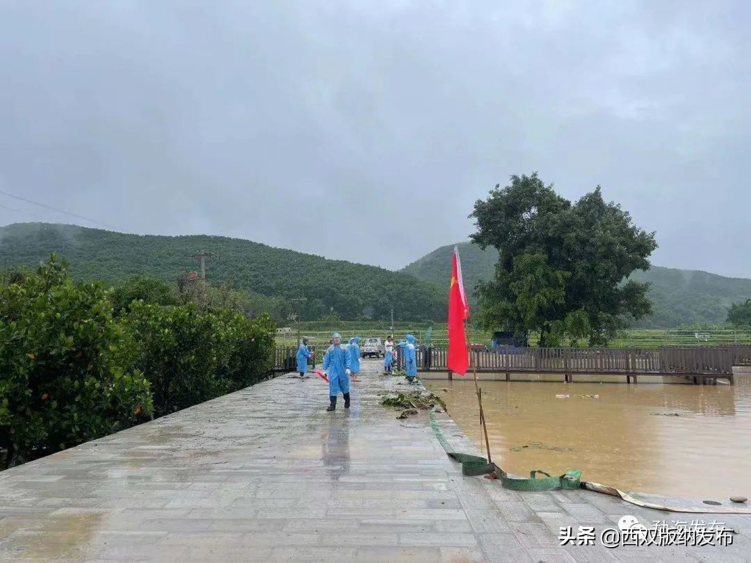 云南省现代化边境小康村,勐海乡村振兴