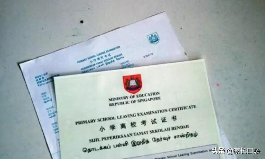 新加坡教育体系全解析,新加坡分流教育方案