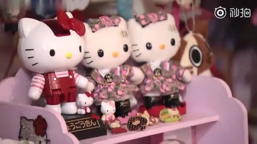 日本hellokitty收藏者,收集hellokitty最多的吉尼斯纪录