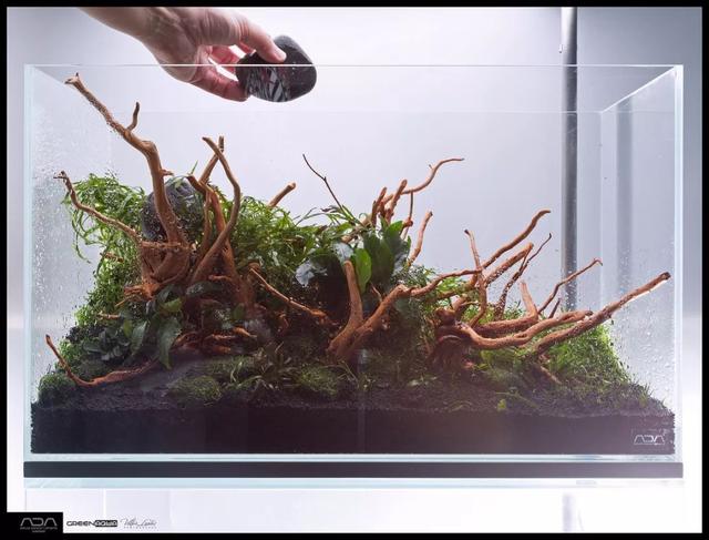 ada风格造景用什么底砂,鱼缸造景ada风格