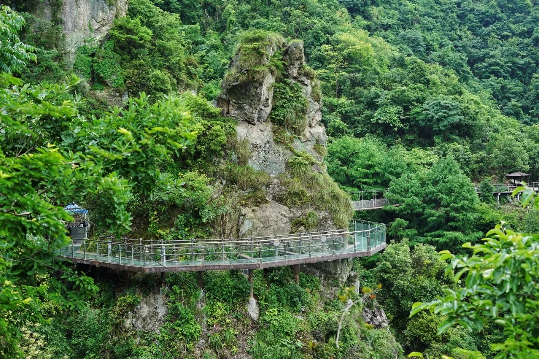 古装剧钟情的江南小城！藏着一片美食江湖