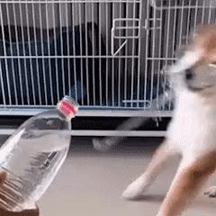 亲身经历过哪些坑,亲身经历致命骗局