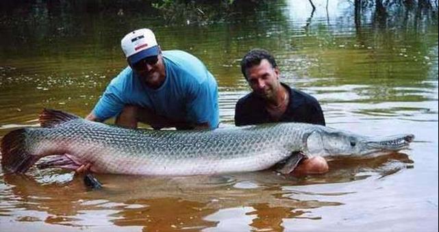 十大珍稀皮料,珍稀皮革