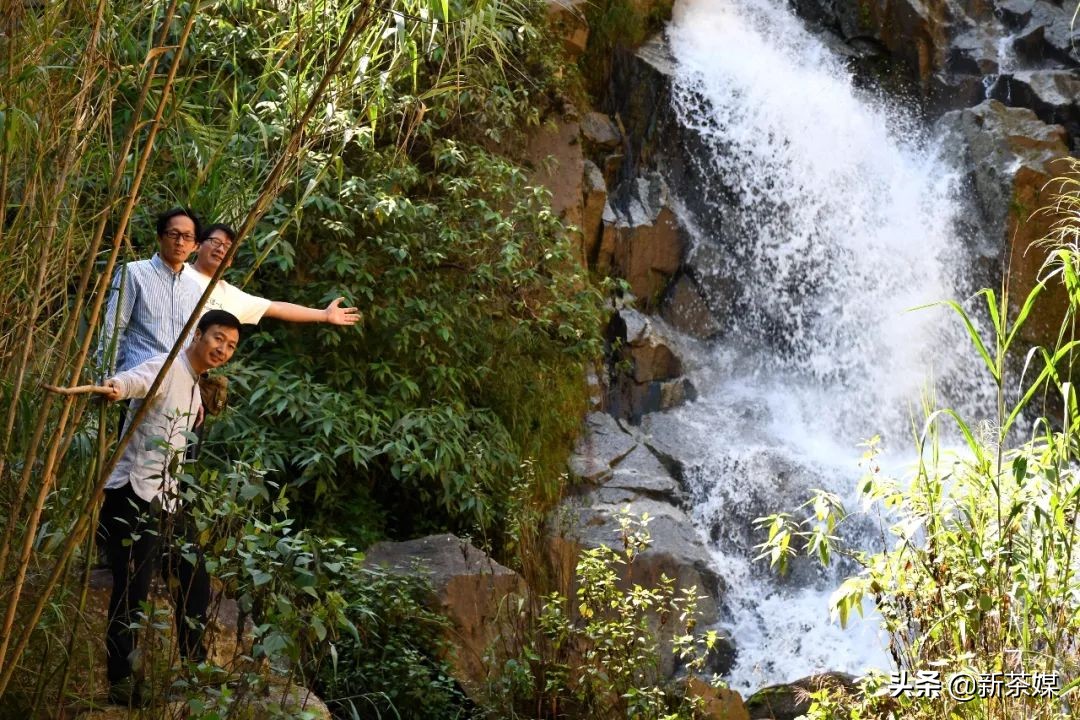 南糯山有什么景点,南糯山有哪些景点