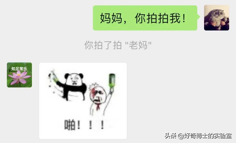 淦！微信新出的「拍一拍」是什么沙雕功能？