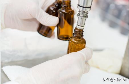 玻尿酸提取的技术简单吗,如何用微生物提取玻尿酸