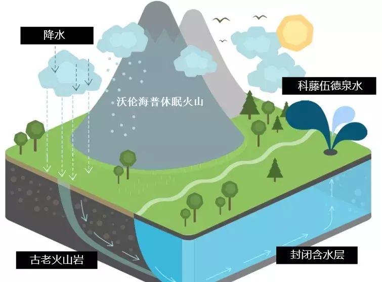 justwater购买,justwater在哪买