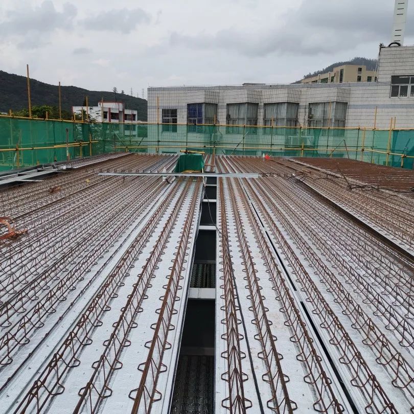 珠光路小学刚建时的照片,珠光小学现在变成什么样了