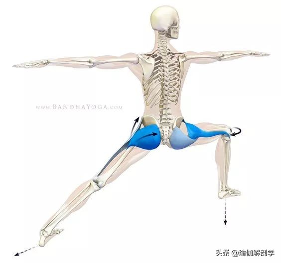 瑜伽18个基本体式,18个瑜伽体式正确图
