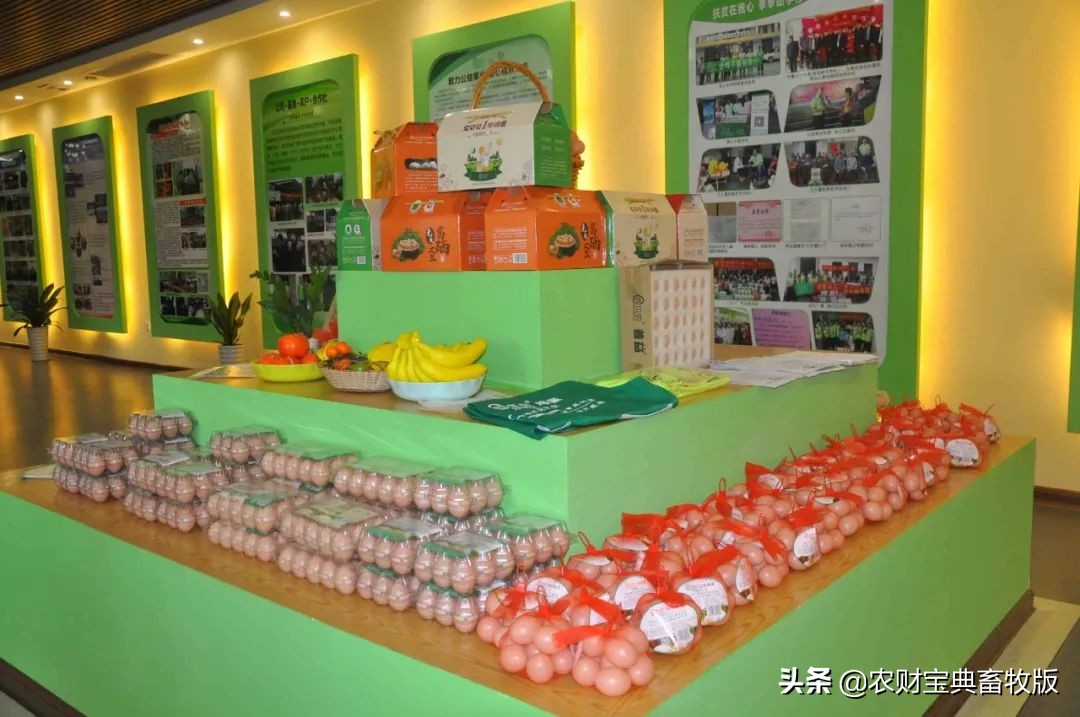 高端绿壳营养蛋,绿壳乌鸡蛋什么样