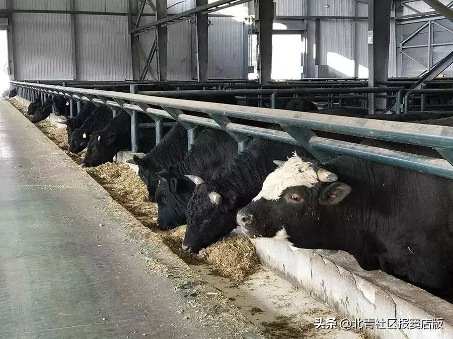 搜一搜就知道了,搜一搜商家会怎么样