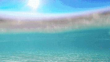 新站区游玩地方,新站区一日游最佳去处