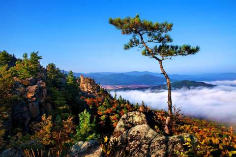 世外桃源仙游,南岔仙翁山山顶