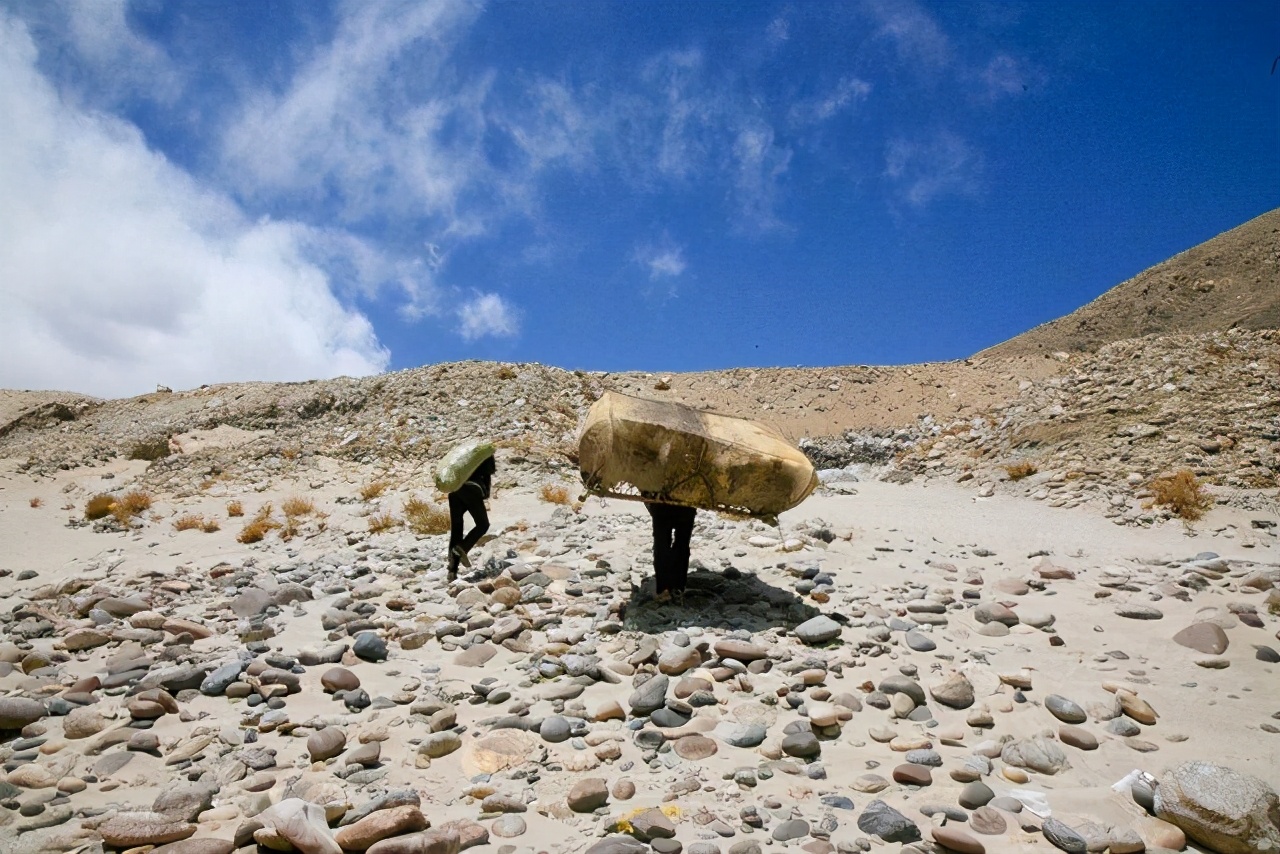 生存才是硬道理谁说的,生存才是硬道理
