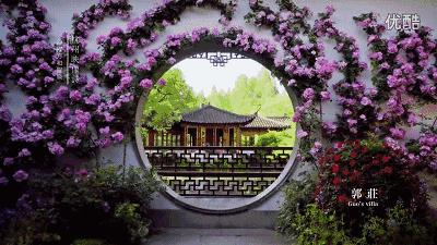 鑻忓窞鍥灄vs鏉窞瑗挎箹,鏉窞瑗挎箹vs鑻忓窞鍥灄