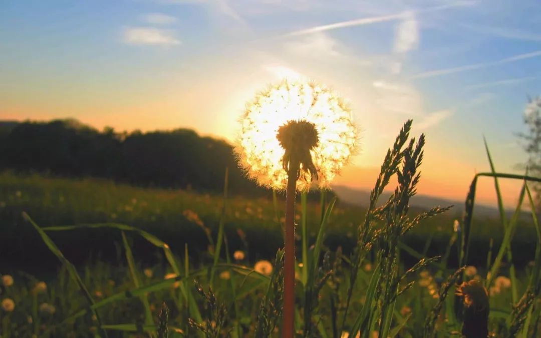 什么是好的感情怎么回答,什么是好感情答案