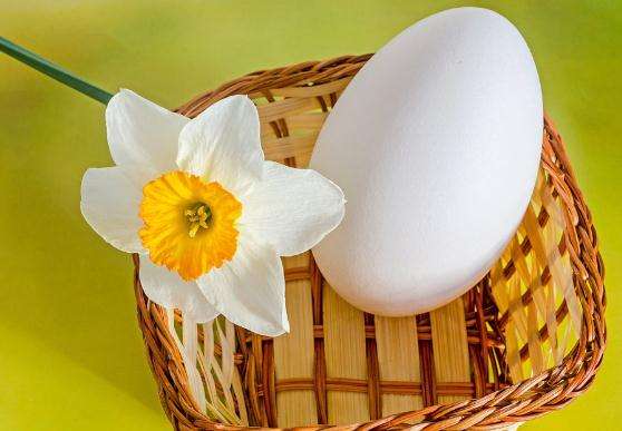 鹅蛋真的能去胎毒和黄疸吗,孕期吃鹅蛋去胎毒有科学根据吗