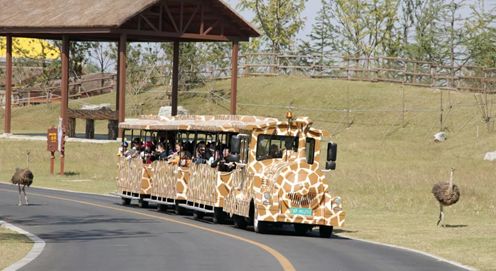 南通森林野生动物园门票团购双人,南通森林野生动物园门票活动团购