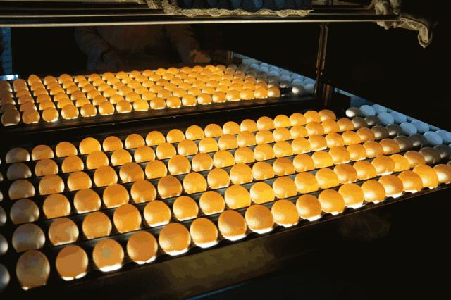 憋坏了吧，诸位！大午温泉在等你……