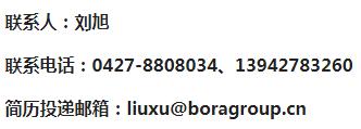 宝来招聘岗位,宝来集团招聘时间