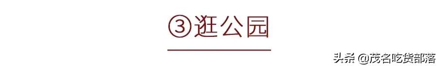 茂名这座城市被誉为什么城,茂名是一座怎样的城市