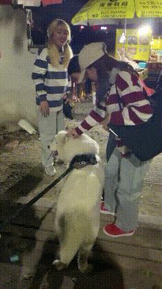 赌100袋辣条,赌十包辣条