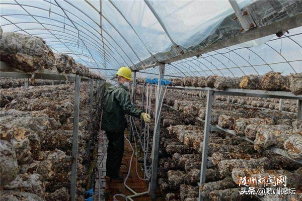 坚守在一线基层工作者,坚守一线社区工作者