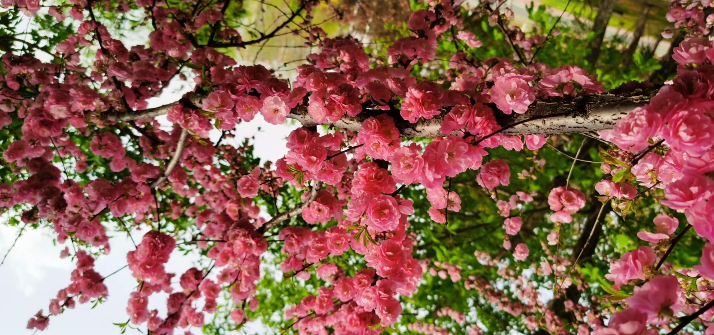 故事：不是最好的丈夫，是最合适的暖男