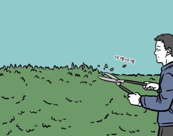 非人哉龙角掉了,非人哉朱雀拔掉青龙最珍稀的龙角