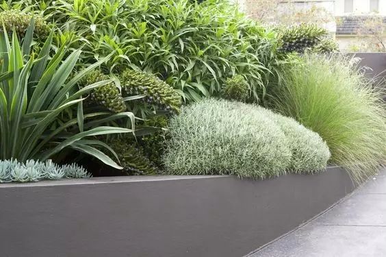 能把一块坡地设计的花样百出，佩服