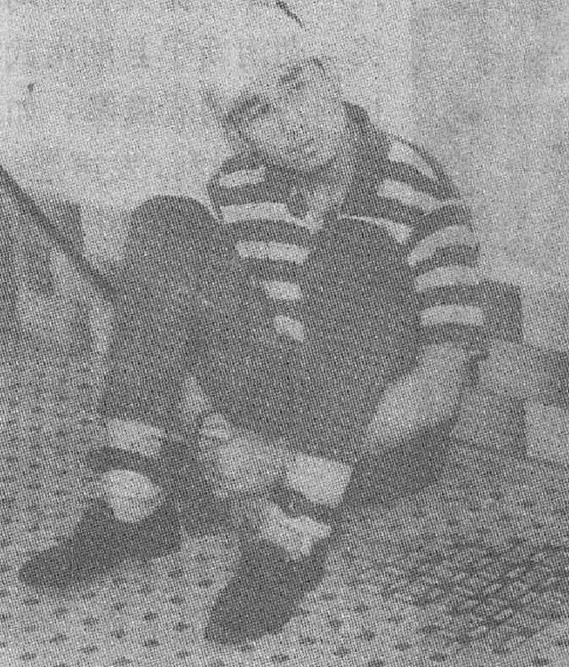 老汉贪卖冬瓜引发香港凶案,东莞老头贪便宜捡了一袋冬瓜