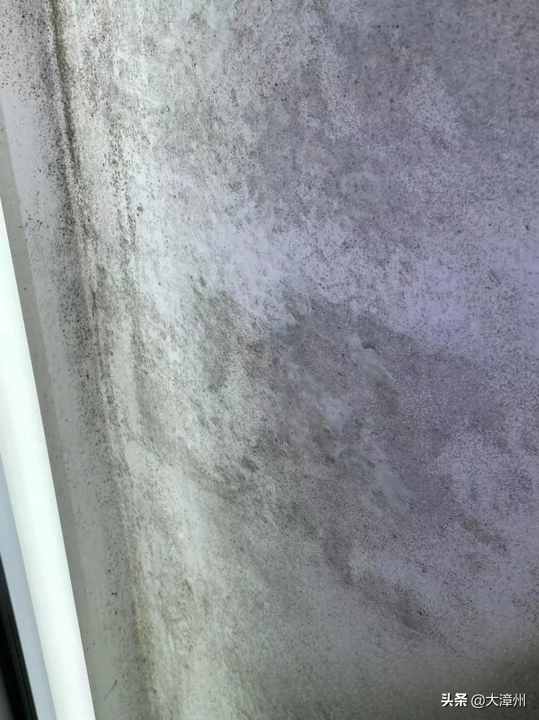 漳州市龙海石码美景,龙海石码全景美景