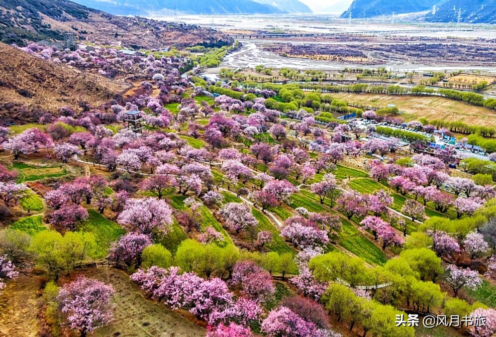 成都出发林芝旅游攻略图,金川梨花节自驾游五日线路图