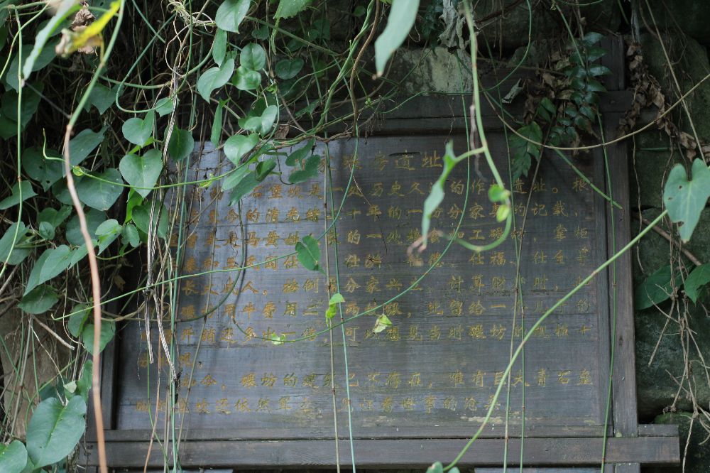 义渡古镇和走马古镇,走马古镇值不值得去